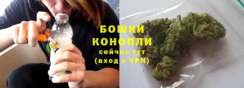 Бошки марихуана THC 21%  Крымск 